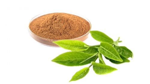 茶叶茶氨酸